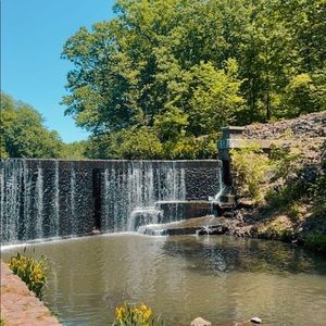 Meet your Posher, Catherine